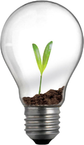 Die Glühbirne steht für die Idee. Die Pflanze darin für die heranwachsende Innovation. Daher bezeichnet Schütze Konzept beides zusammen als Blühbirne